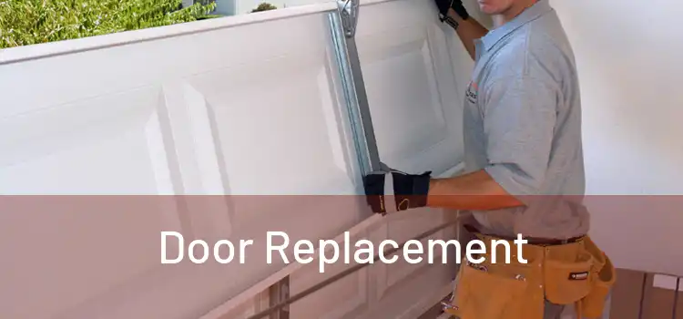  Door Replacement 