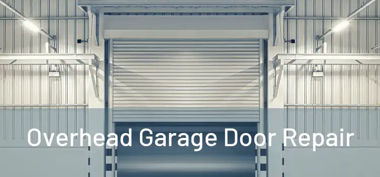  Overhead Garage Door Repair 